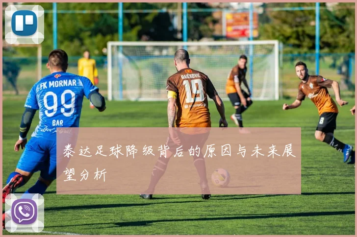 泰达足球降级背后的原因与未来展望分析